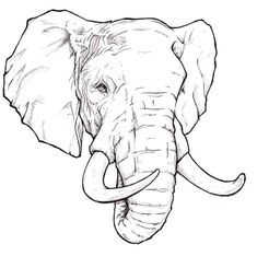 an elephant with tusks is shown in black and white