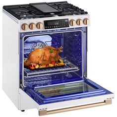 an oven with a turkey cooking inside of it