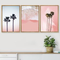 three palm trees in front of a pink wall