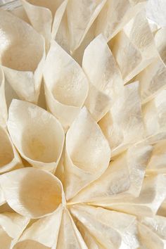 a close up view of some very pretty white paper flowers on a table top,