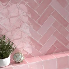 a potted plant sitting on top of a pink tiled wall next to a white vase