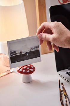 a person holding up a photo with a mushroom on the table next to a laptop