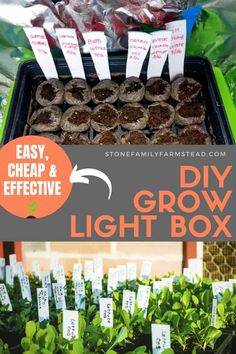 the diy grow light box is filled with plants and seed packets for growing seeds