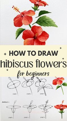 how to draw hibiscus flowers for beginners