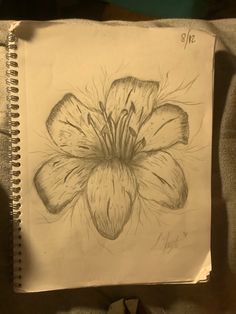 a pencil drawing of a flower on paper