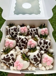 chocolate covered strawberries with pink bows in a white box on the grass, ready to be eaten