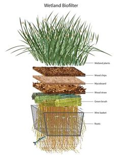 an image of grass growing out of a wire basket with the words wetland bioliter on it