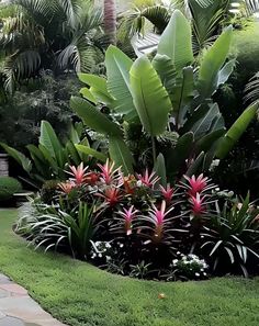 the garden is full of tropical plants and flowers