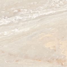 a bird sitting on top of a sandy beach next to the ocean with waves coming in