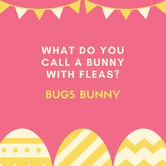 an easter card that says, what do you call a bunny with fleas?