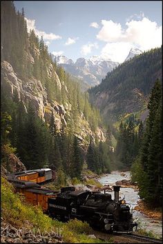 a train traveling down tracks next to a forest filled mountain side covered in snow and pine trees