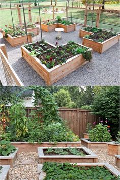 several different types of raised garden beds with plants growing in them and on the ground