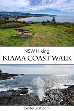 a bench sitting on top of a lush green field next to the ocean with text overlay that reads, nsw hiking kima coast walk