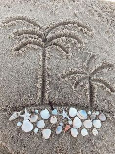 shells are arranged in the shape of a tree and leaves on sand at the beach