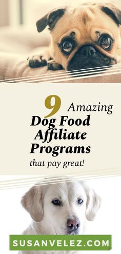 a dog laying on top of a bed next to the words, amazing dog food afrifiae programs that pay great