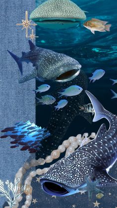 an underwater scene with many different types of fish in the water and stars on the background