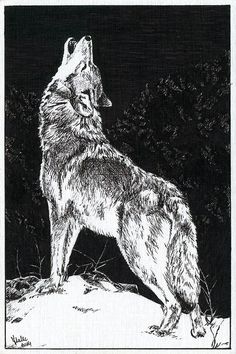 a black and white drawing of a wolf standing on top of a snow covered ground