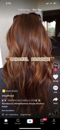 Brown Hair Inspo, Hair Color Caramel, Brunette Hair With Highlights, Ginger Hair Color, Haircut And Color, Hair Color And Cut, Hair Inspiration Color, Hair Inspo Color