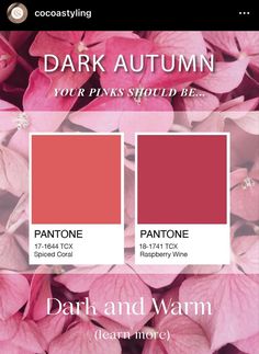 Dark Autumn Blush, Deep Autumn Spring Outfits, Color Palette Autumn, Season Analysis, Theatrical Romantic Style, Palette Autumn