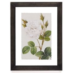 a white flower with green leaves in a black frame