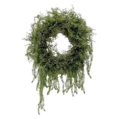 a mossy wreath hanging from the ceiling on a white background with clippings