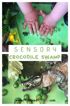 a child's hand on top of a crocodile in front of a green tray