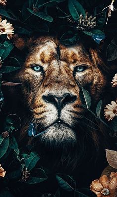 a lion with blue eyes surrounded by flowers