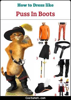 an image of costumes for cats in boots