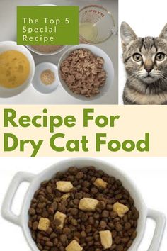 cat food
dry cat food
recipe Dry Cat Food Recipe, Homemade Dry Cat Food, Homemade Kitten Food, Kitty Treats, Catnip Treats, Pet Recipes