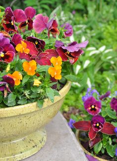 several different colored flowers in a yellow bowl