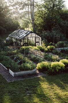 a garden with lots of plants growing in it and a greenhouse on the other side