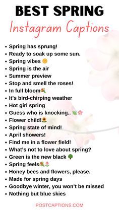 the best spring instagramm captions are in this postcard, which includes pink flowers