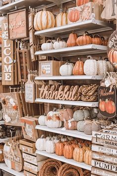 many pumpkins are on shelves in a store