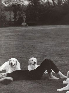 a woman laying on the ground with three dogs