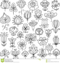 various flowers and leaves drawn in black ink on white paper - drawing stock illustrations, clip art