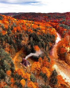 an aerial view of a cabin in the middle of a forest with lots of trees