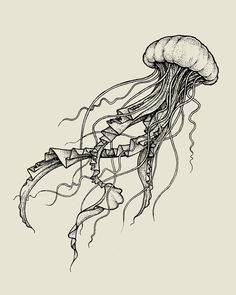 a black and white drawing of a jellyfish