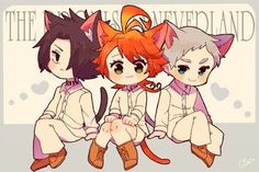 Tpn Ray, Ray Emma, Neverland Art, Promise Neverland, Kawaii Drawings, Awesome Anime, Anime Comics