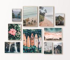 multiple pictures of surfboards are arranged on a wall with palm trees and water in the background