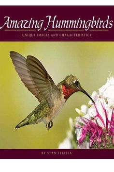 Amazing Hummingbirds Photography Book - We Love Hummingbirds Hummingbirds Photography, Digital Photography Lessons, Photography Lessons, Learning Photography, Unique Image, Hummingbirds, Book Photography