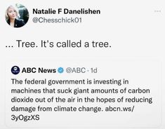 two tweets with the same caption on them, one says tree it's called a tree