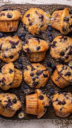 blueberry muffins on a baking tray with fresh blueberries