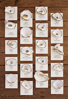 an assortment of seashells are arranged on top of white cards and envelopes