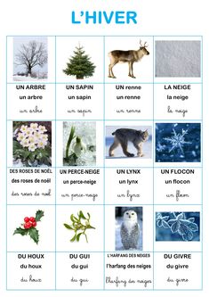 a poster with pictures of different animals and plants on it's sides, including the words l'hiver