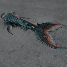 a drawing of a fish on the ground