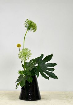 a black vase filled with green plants on top of a table