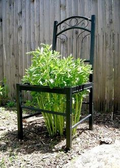 there is a small potted plant in the middle of the yard with words above it