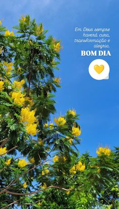 a tree with yellow flowers in the foreground and a blue sky behind it that says,