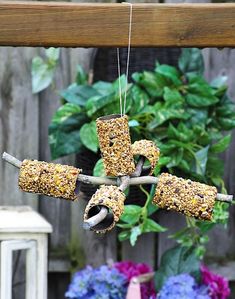 several bird feeders hanging from a tree branch in front of some flowers and a potted plant