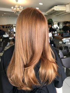 Butterscotch Hair Color, Butterscotch Hair, Light Brown Hair Styles, Brown Hair Styles, Old Money Brunette, Light Auburn Hair Color, Light Brown Hair Color, Light Auburn Hair, Cinnamon Hair